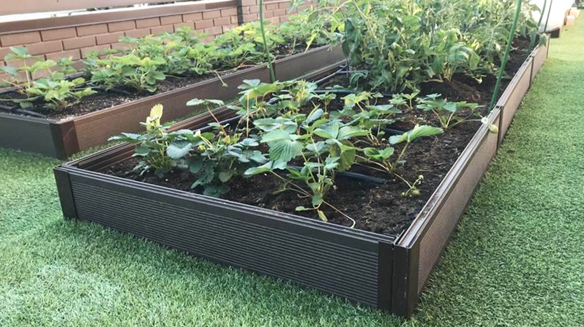 грядки из дпк